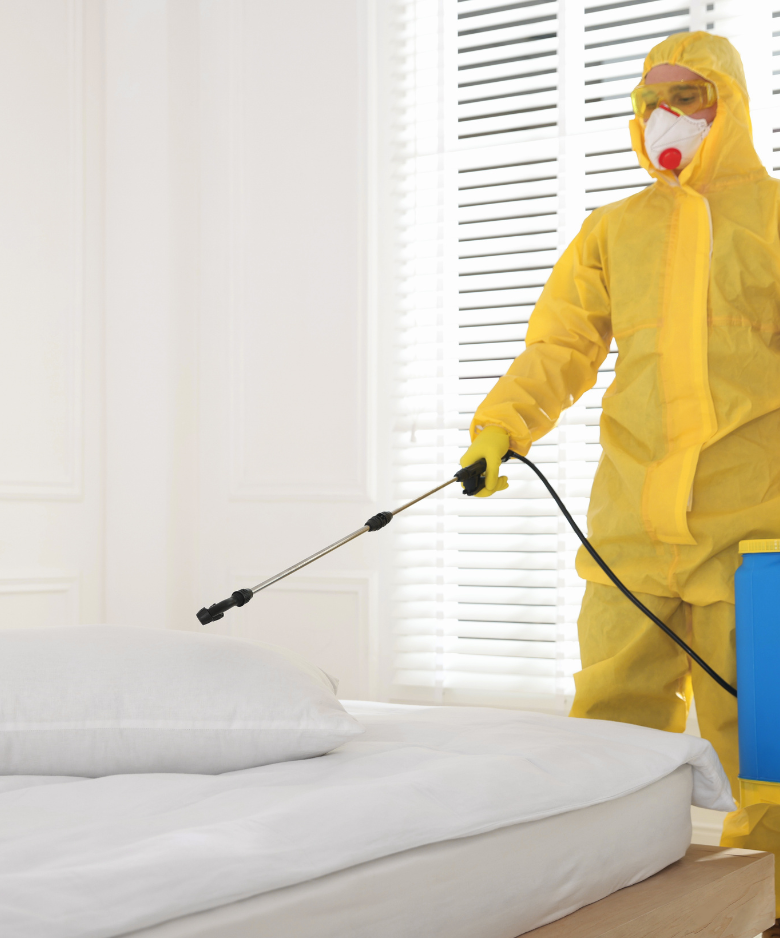 Professional Pest Control Team in Kings Park